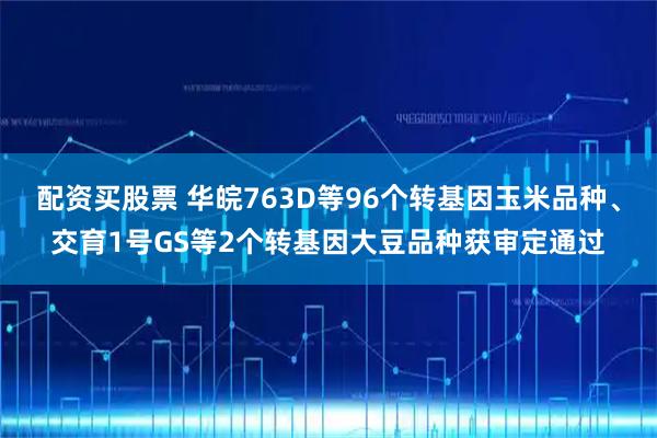 配资买股票 华皖763D等96个转基因玉米品种、交育1号GS等2个转基因大豆品种获审定通过