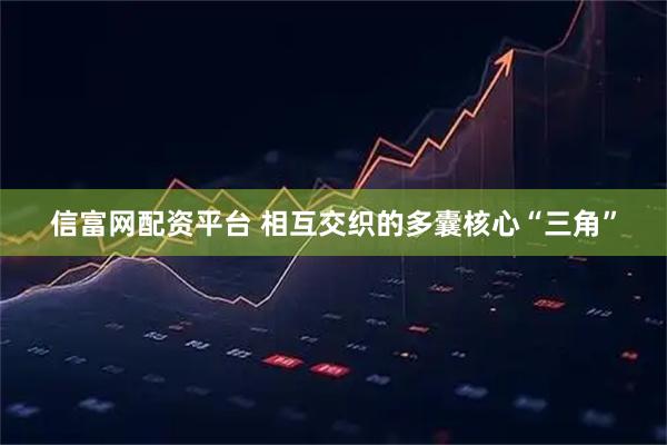 信富网配资平台 相互交织的多囊核心“三角”