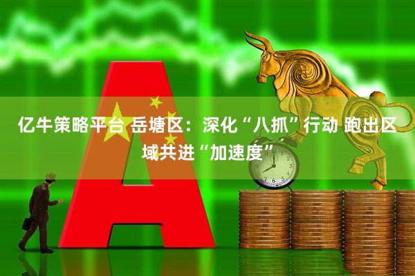 亿牛策略平台 岳塘区：深化“八抓”行动 跑出区域共进“加速度”
