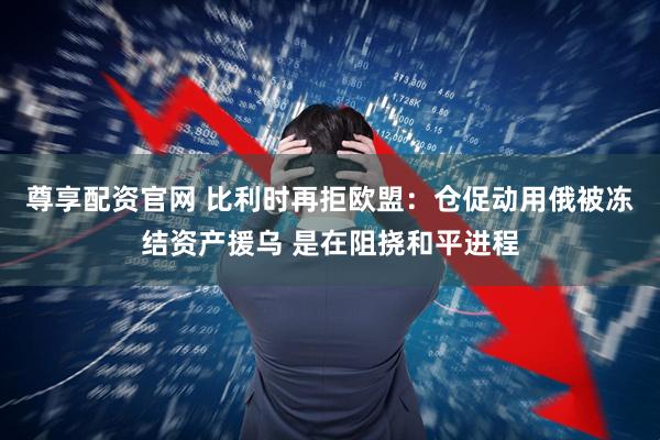 尊享配资官网 比利时再拒欧盟：仓促动用俄被冻结资产援乌 是在阻挠和平进程