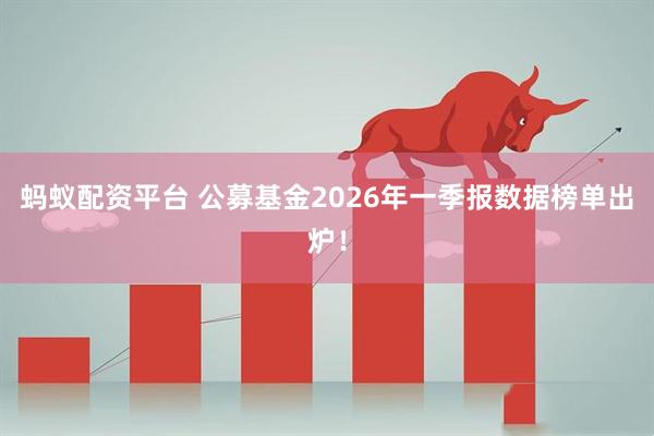 蚂蚁配资平台 公募基金2026年一季报数据榜单出炉！