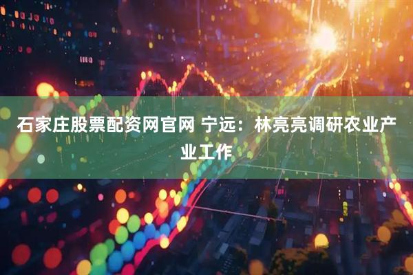 石家庄股票配资网官网 宁远：林亮亮调研农业产业工作